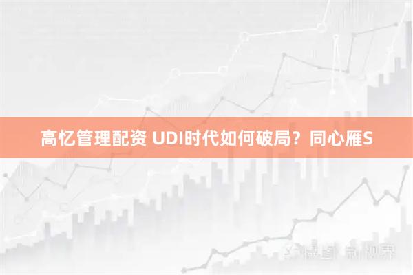 高忆管理配资 UDI时代如何破局？同心雁S