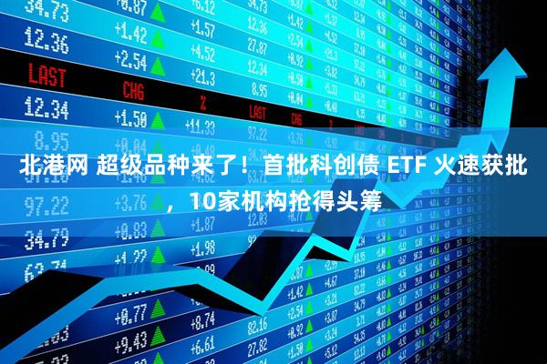 北港网 超级品种来了！首批科创债 ETF 火速获批，10家机构抢得头筹