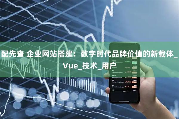 配先查 企业网站搭建：数字时代品牌价值的新载体_Vue_技术_用户