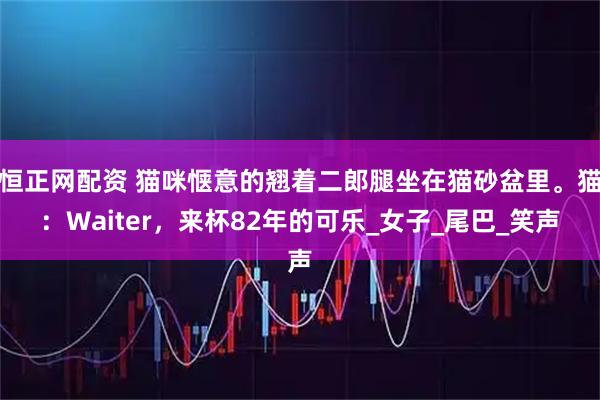 恒正网配资 猫咪惬意的翘着二郎腿坐在猫砂盆里。猫：Waiter，来杯82年的可乐_女子_尾巴_笑声