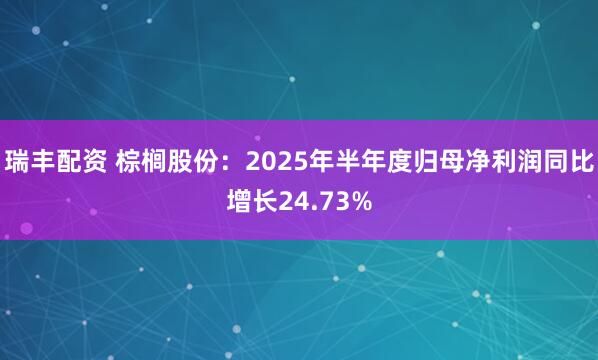 瑞丰配资 棕榈股份：2025年半年度归母净利润同比增长24.73%